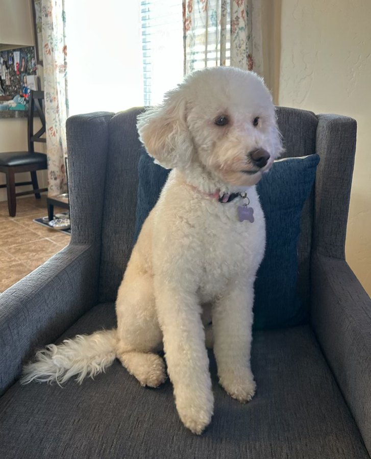 Lucy
